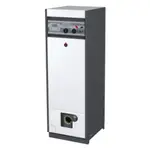 Комбинированный котел Acv Delta Pro S 45 – вид 1