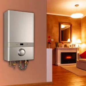 Двухконтурные газовые котлы для частного дома: выбор и советы 