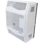 Конвектор настенный газовый Hosseven HDU-3V Fan (Без дымохода) – вид 1