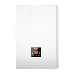 Газовый котел Wolf FGB-24 – вид 1