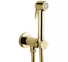 Гигиенический душ Bossini Paloma Brass золото (E37005B.021)