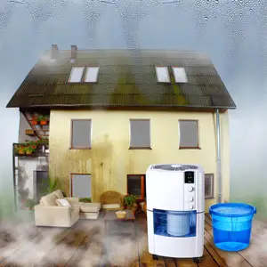 Осушитель воздуха: ключ к здоровому микроклимату