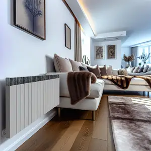 Достоинства и характеристики конвекторов Rointe