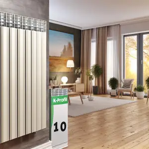 Радиаторы Buderus K-Profil 10 для энергоэффективного отопления