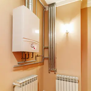 Настенные газовые котлы отопления с двумя контурами