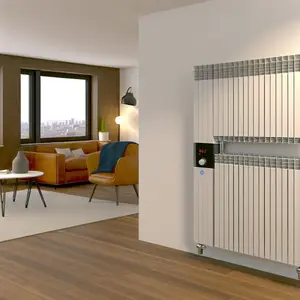 Радиаторы Buderus K-Profil 22 300 1600: энергоэффективность и надежность