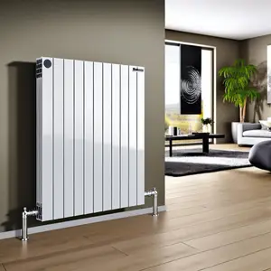 Стальной панельный радиатор Buderus VK-Profil 22 500 600 - обзор