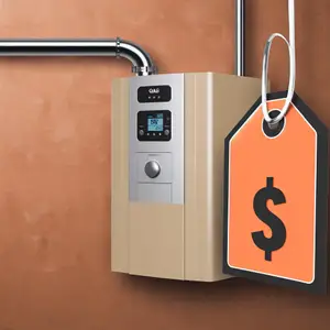 Когда цена - не главное. Выбор отопительного котла на газе