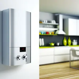 Котлы двухконтурные газовые настенные для вашего дома