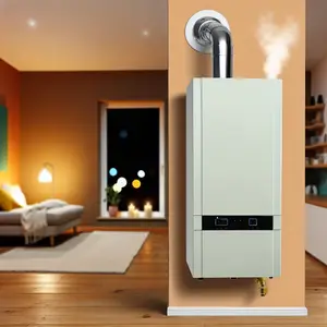 Парапетные котлы на газу: эффективное отопление для дома