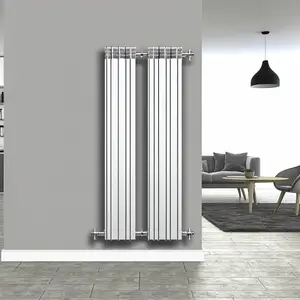 Стальной радиатор Buderus K-Profil 30 600 1600: качество и эффективность