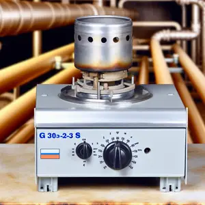 Газовая горелка De Dietrich G 303-2 S: эффективное отопление