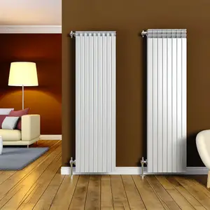 Стальной панельный радиатор Buderus VK-Profil 22: обзор