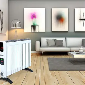 Занусси - электрические конвекторы: характеристики и преимущества