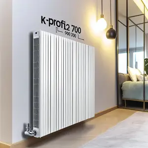 Радиатор Buderus Logatrend K-Profil для эффективного отопления