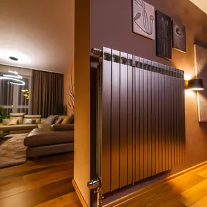 Стальной панельный радиатор Buderus VK-Profil 22 600 1200: обзор