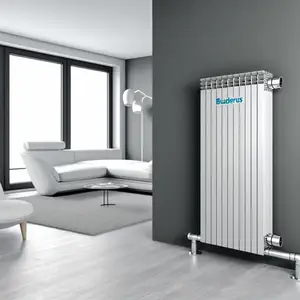 Стальной панельный радиатор Buderus Logatrend K-Profil 21 400 1000 - обзор