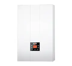 Газовый котел Wolf FGB-35