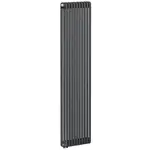 Радиатор трубчатый RIFAR TUBOG Ventil 3180 DV1 Титан 10 секц. нижн. – вид 1
