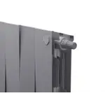 Радиатор Royal Thermo PianoForte 200 /Silver Satin - 10 секц. VDR – вид 4