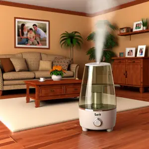 Как поддержать здоровый микроклимат дома с увлажнителем воздуха Loriot