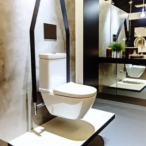 Как правильно выбрать подвесной унитаз для дома