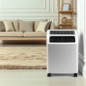 Мобильные кондиционеры: преимущества и особенности