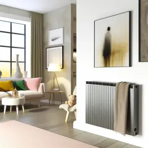 Чем так популярны электрические конвекторы Rointe