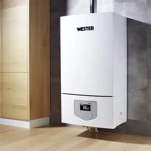 Газовый котел Wester Clever 30: энергоэффективное решение