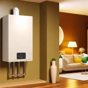 Автономные газовые котлы для частных домов: выбор и преимущества