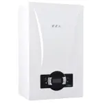 Котел газовый E.C.A. PROTEUS PREMIX 35 HM NG, 2 конт. – вид 2