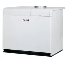 Напольный газовый котел Ferroli Pegasus F3 N119 2S
