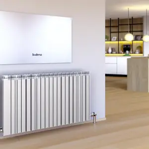 Стальной панельный радиатор Buderus VK-Profil 11 300 900 - обзор