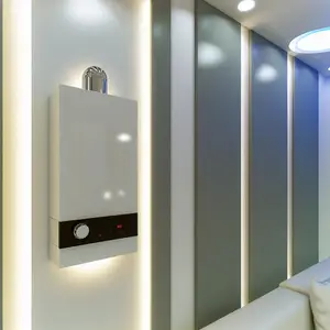 Руководство по настенным одноконтурным газовым котлам: выбор и эксплуатация