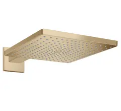 Верхний душ Hansgrohe Raindance E шлифованная бронза (26238140)