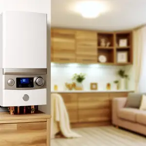 Причины популярности установки газового котла в частном доме