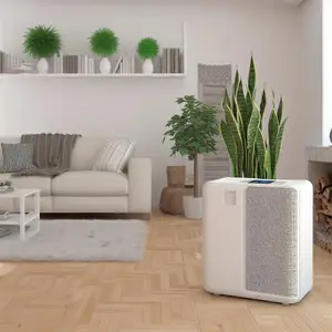 Очистители воздуха для аллергиков: как выбрать лучший