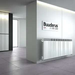 Радиатор Buderus VK-Profil 21 500 1600: эффективное отопление