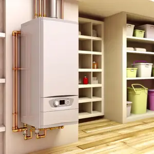 Одноконтурные газовые котлы для частных домов: преимущества