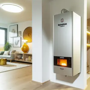 Напольный газовый котел Buderus Logano G234-55 WS: обзор
