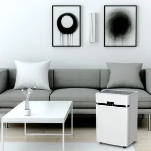 Осушитель воздуха FUNAI для дома: полный гид по выбору