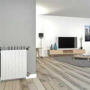 Радиаторы Buderus VK-Profil 22 для эффективного отопления