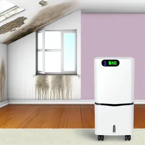 Когда нужен осушитель воздуха: решите проблему влажности