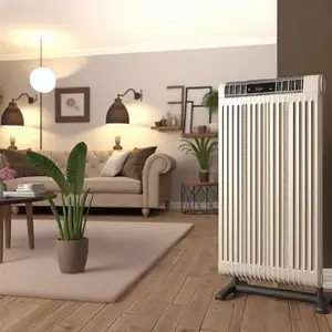 Занусси: электрический конвектор, какая цена?