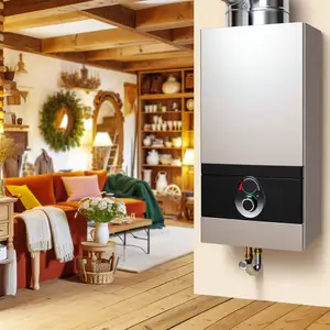Парапетные газовые котлы для частного дома: компактность и эффективность