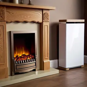 Каминокомплект Royal Flame Bergen и Corsica - обзор