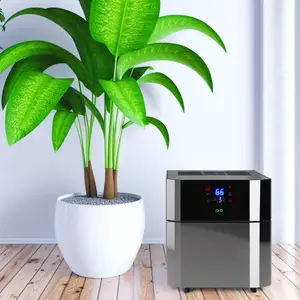 Осушитель воздуха: как выбрать лучший для дома