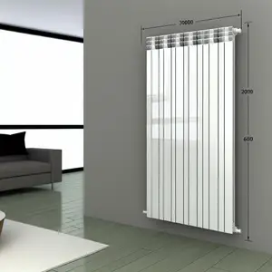 Стальной панельный радиатор Buderus K-Profil 22 - обзор