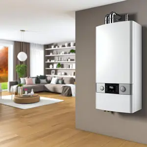 Энергонезависимые газовые котлы отопления с естественной циркуляцией: надежность и экономия