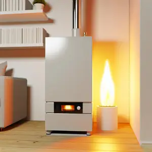 Напольные газовые котлы отопления частного дома - обзор